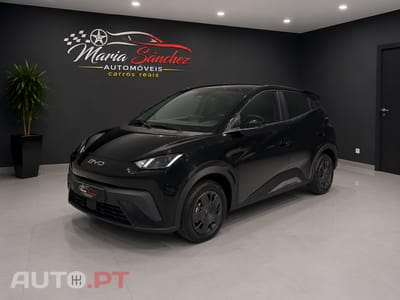 BYD Dolphin Surf Active