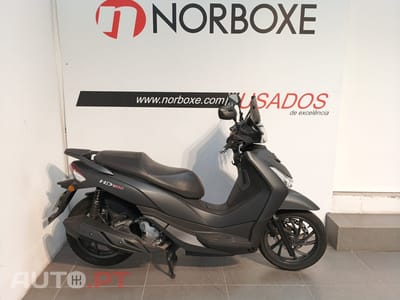 Sym HD 300