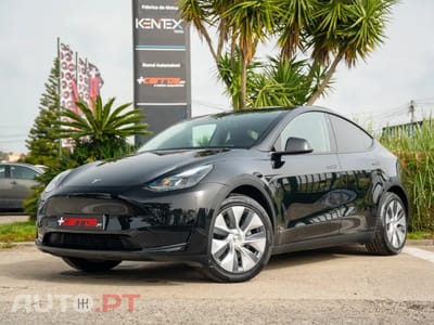 Tesla Model Y Standard