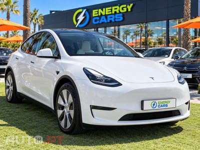 Tesla Model Y Long Range Tração Integral