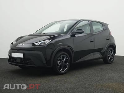 BYD Dolphin Surf Boost