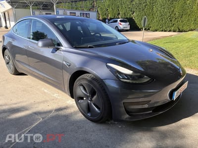 Tesla Model 3 Long Range RWD Business