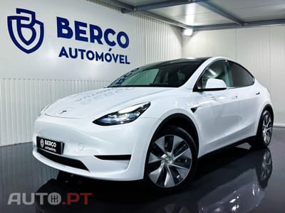 Tesla Model Y Standard